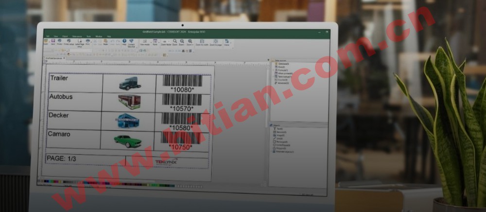 image-20250523143305072