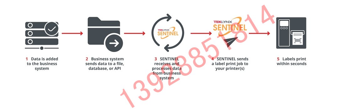 SENTINEL ��ӡ�Ԅӻ�ܛ���Ĺ���ԭ��